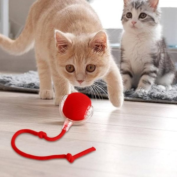 Interaktiv leksaksboll för husdjur | Rörelseaktiverad lek för katt & hund