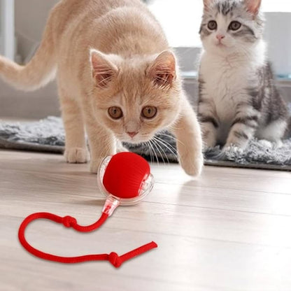 Interaktiv leksaksboll för husdjur | Rörelseaktiverad lek för katt & hund