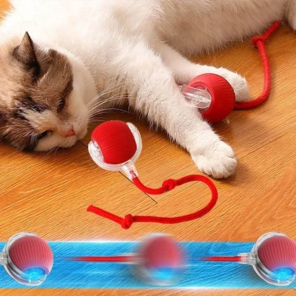 Interaktiv leksaksboll för husdjur | Rörelseaktiverad lek för katt & hund