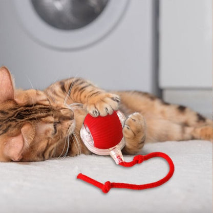 Interaktiv leksaksboll för husdjur | Rörelseaktiverad lek för katt & hund