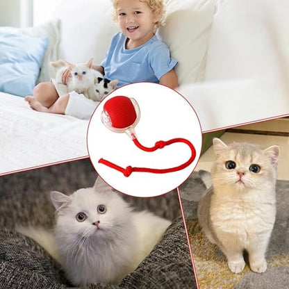 Interaktiv leksaksboll för husdjur | Rörelseaktiverad lek för katt & hund
