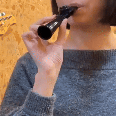Kazoo för Nybörjare | HumPro