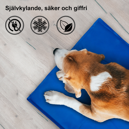 Kyldyna för hund | Självkylande kylmatta