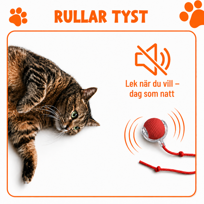 Interaktiv leksaksboll för husdjur | Rörelseaktiverad lek för katt & hund