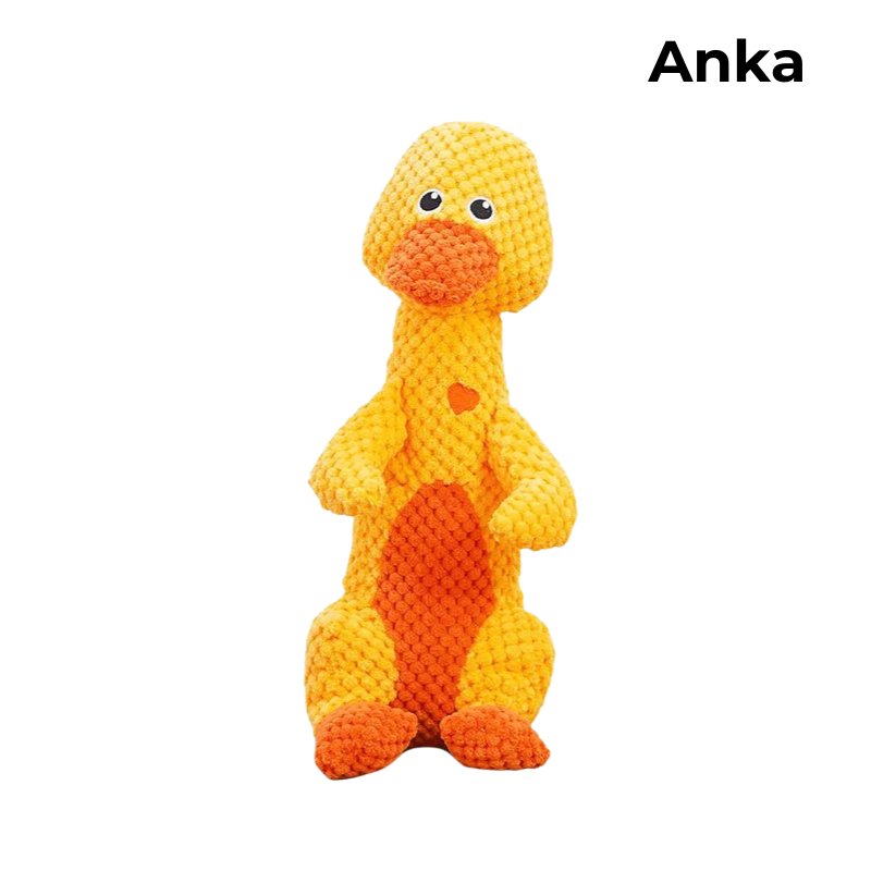 OknusDjur™ | Låt din hund leka hårdare, längre och tryggare!